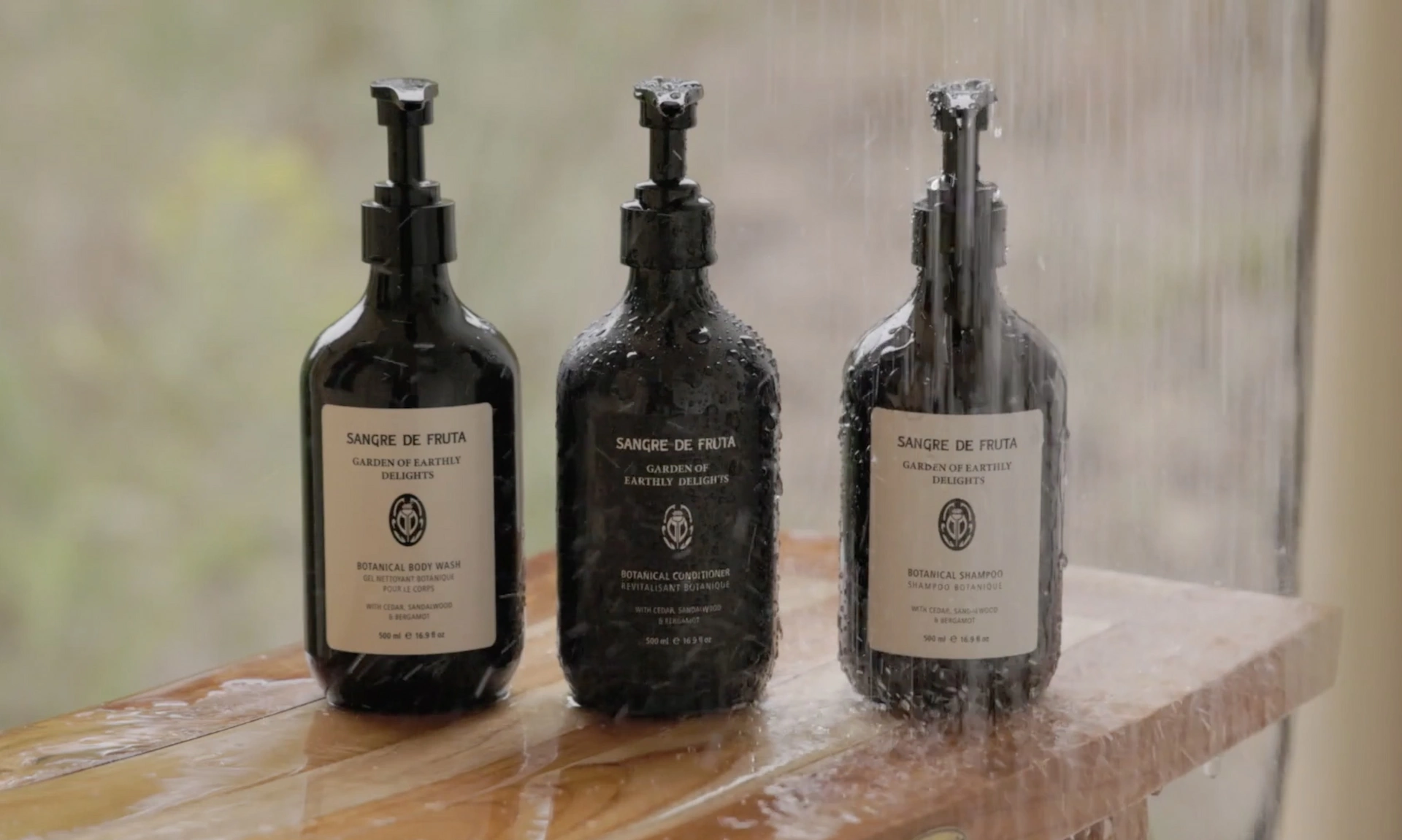 Amenities Option 2